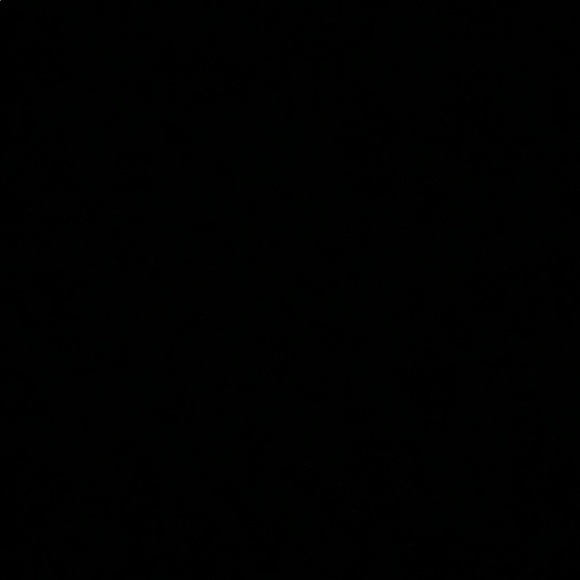 Meet your Posher, Isabella - Picture 1 of 1